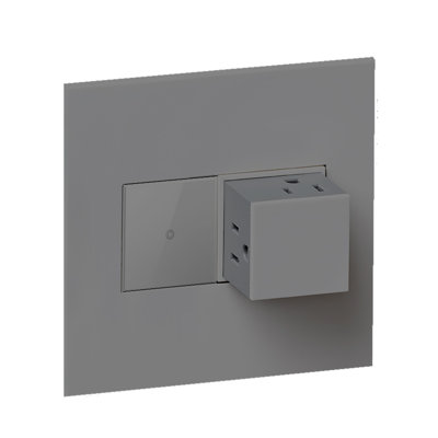 Adorne 15A 2-Gang Tamper-Resistant Pop-Out Outlet