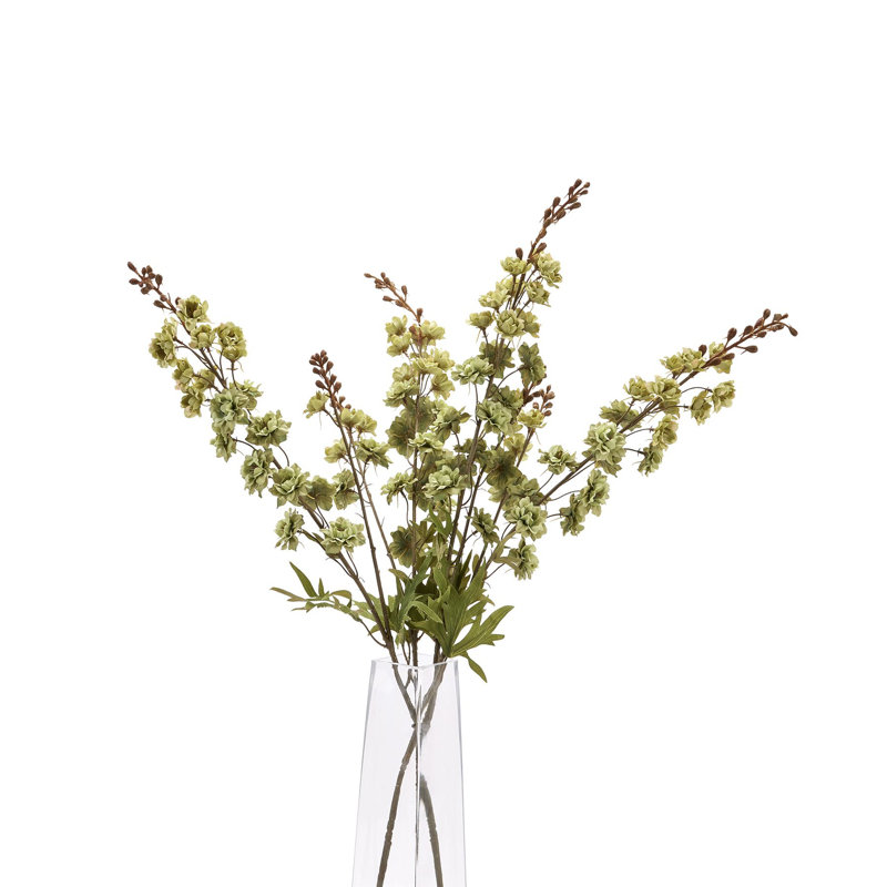 Anastasija Arrangement