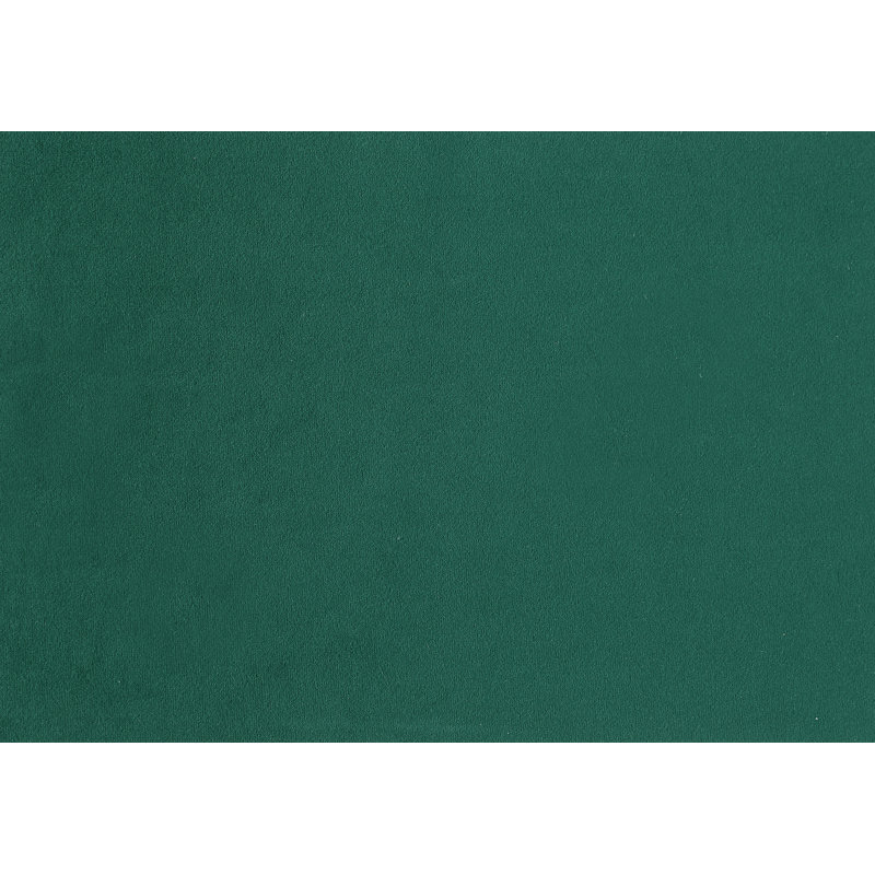 Ensemble de chaises rembourrées 2 pièces, Vert
