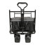 Collapsible Foldable Wagon With Canopy-125205224