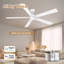 Ventilateur de plafond moderne à 5 pales avec lumières, télécommande et contrôle Alexa, moteur à courant continu silencieux, à intensité variable, intérieur extérieur-1393436459-1393436463