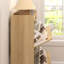 10 Pair Shoe Storage Cabinet
