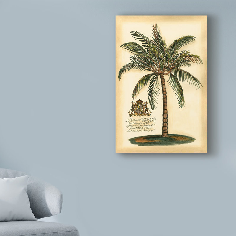 « british colonial palm iii », reproduction d’impression sur toile tendue, H 24 po x l 16 po x P 2 po