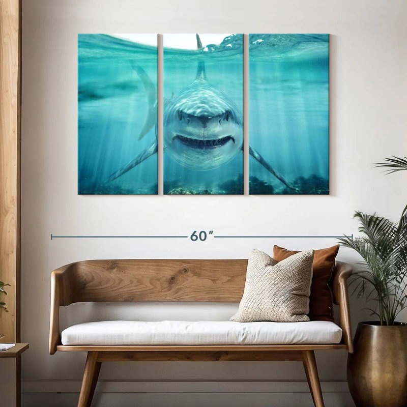Predatory White Shark, 32" H x 50" W