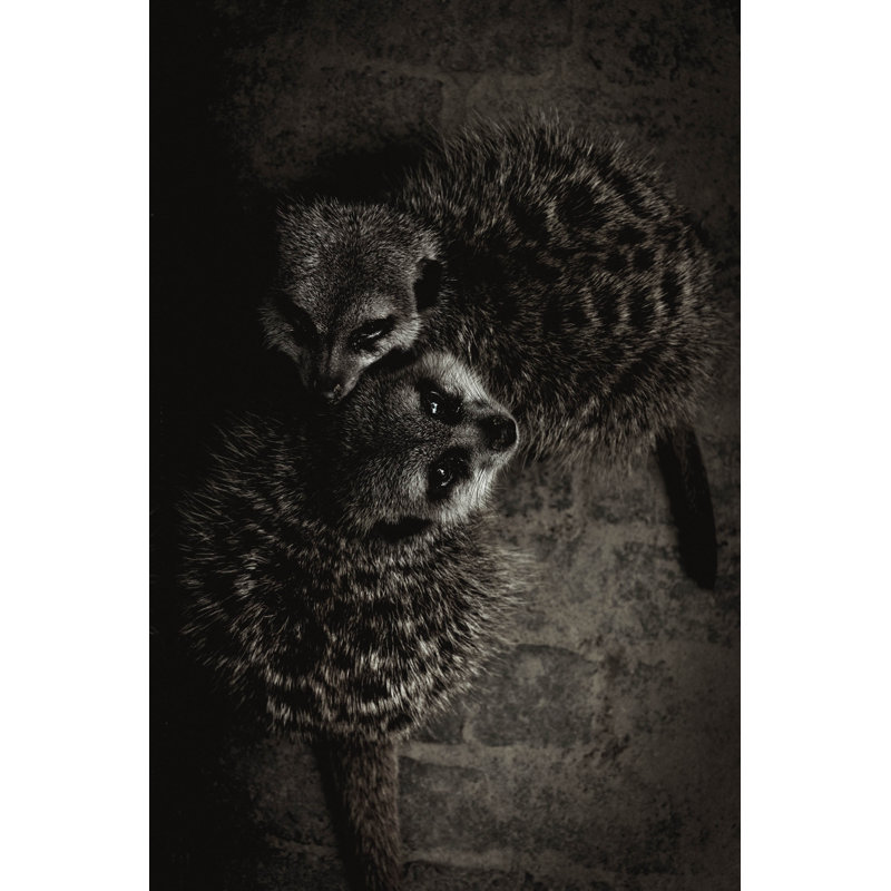 Wildlife 003 - No Frame Print on Metal, 148cm H x 98cm W x 10cm D