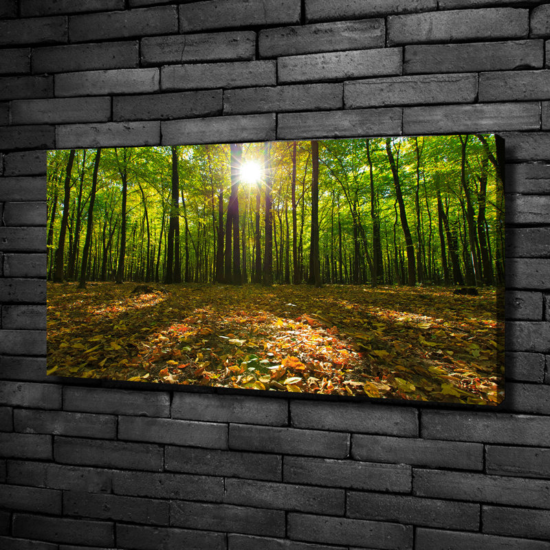 Forest - Wrapped Canvas Print