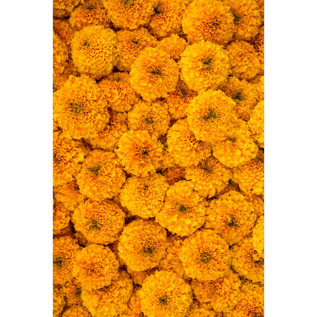 Leinwandbild Marigold Flowers Garland Background