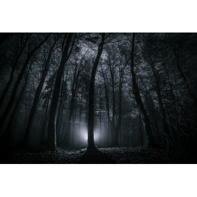«Dark Scary Night Forest» par Gremlin