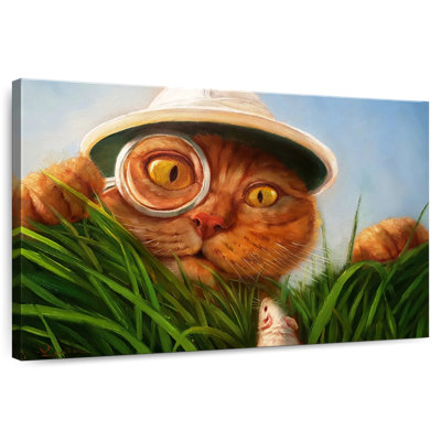 Brampt Explorer Cat