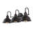  Palombo Farmhouse Industrial Iron LED Vanity-1588000549-1516908315