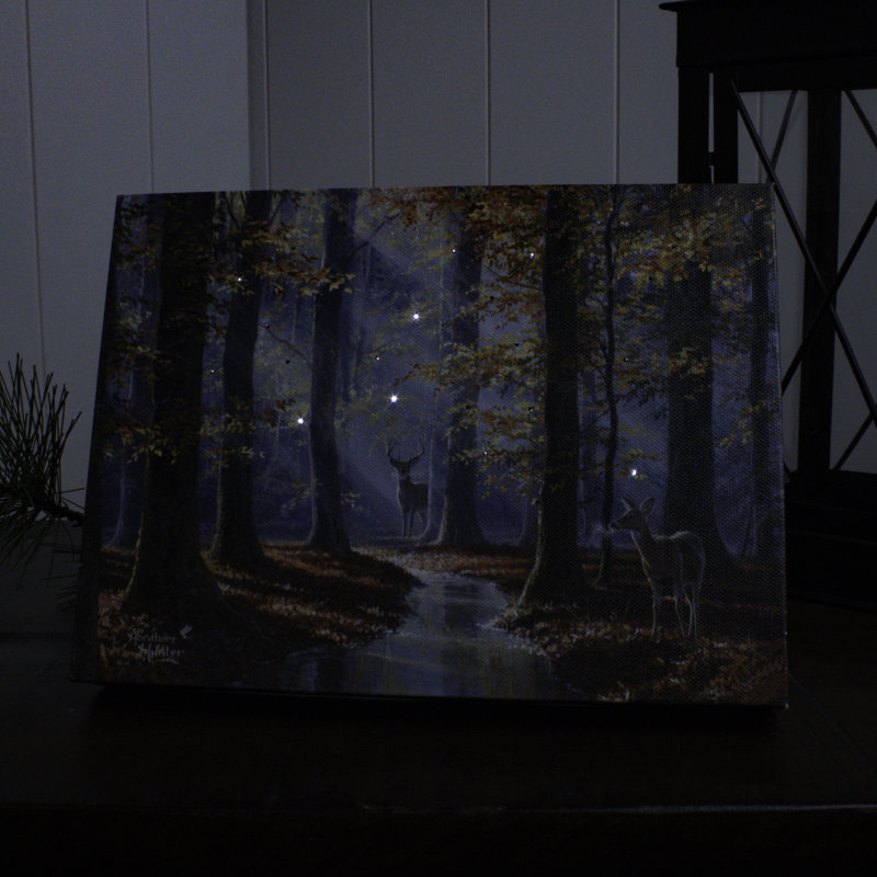 Toile de table 8x6