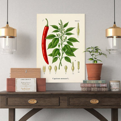 Canvas Wall Art Vintage Chili Pepper Fruit Flower Botanical Wall Art Print Vintage Poster Print Home Decor