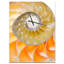 Horloge murale surdimensionnée nautilus isolée-35102423