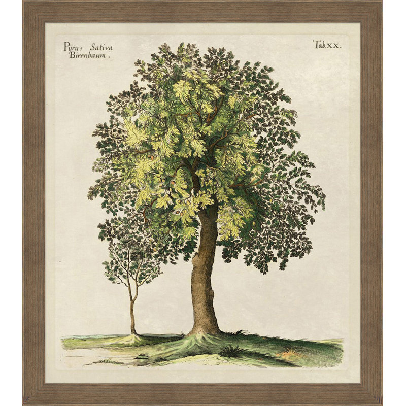 Purus Sativa Painting