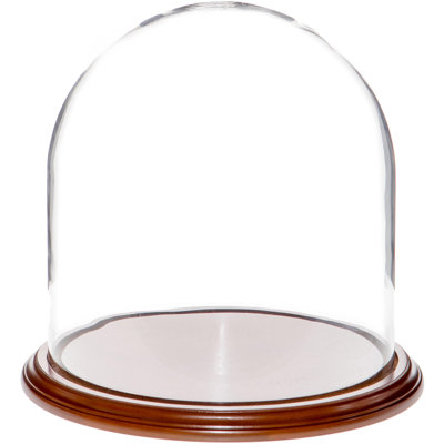 Vucciria 11.75" x 12" Glass Display Dome Cloche