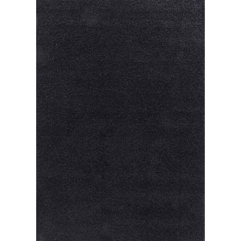 Taeler Washable Modern Living Room Rug Polyester - Anti-Slip Felt Backing Carpet Bedroom-Hallway, Black, Round 100 cm