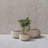 Wurster 3 Piece 21.6", 16.9", and 12.5"W Round Concrete Elegant Planters, Outdoor Indoor Modern Planter Pots, Lightweight, Weather Resistant, Seamless with Drainage Hole Set-770546605