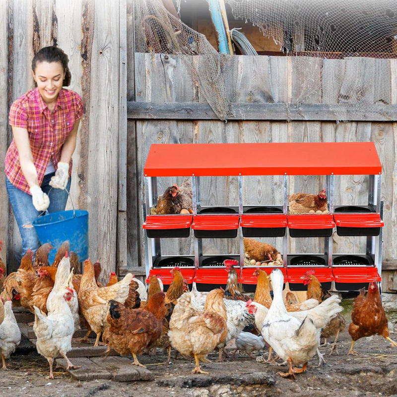 Nesting Boxes For Chickens, Chicken Nesting Box, Roll Away Nesting Box With Leg, Chicken Laying Boxes, Nesting Box For Hens With Lid Cover For Chicken Coop, 10 Compartments