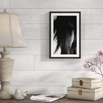 " Shadow Horse " by Melanie Snowhite