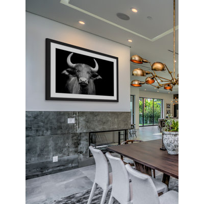 « cow stare », reproduction de photo sur papier encadrée