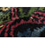 Tapis de bois one-of-kind-noué la 2010 shalimar noir/bleu/rose 4 pi 2 po x 5 pi en laine de 10 po Céline