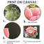 Cactus rose en fleurs dans le désert de Mojave - impression d'art mural cactus floral-1183759787-1183759788-1183759789