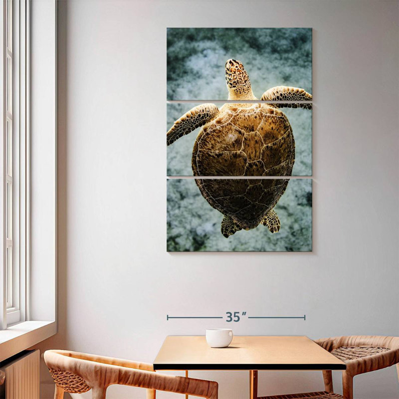 Brampt Virgin Islands Turtle, 65" H x 42" W
