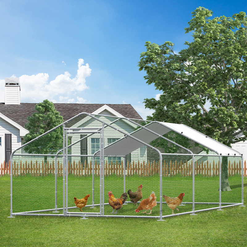 Cinderford Walk in Chicken Run, H 78,72 po x l 117,6 po x P 236,16 po
