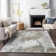 Lummus Abstract Indoor Rug