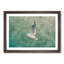 Seagull - Picture Frame Painting Print-56705400-56705406