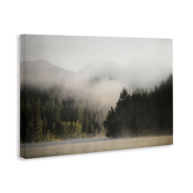 «Rolling Fog Woodland View», art mural sur toile par Carol Robinson, H 16 po x l 24 po