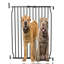Wilkinsburg Metal Pet Gate Accessory-1320236776