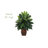 35'' Faux Foliage Plant in Solid Wood Planter