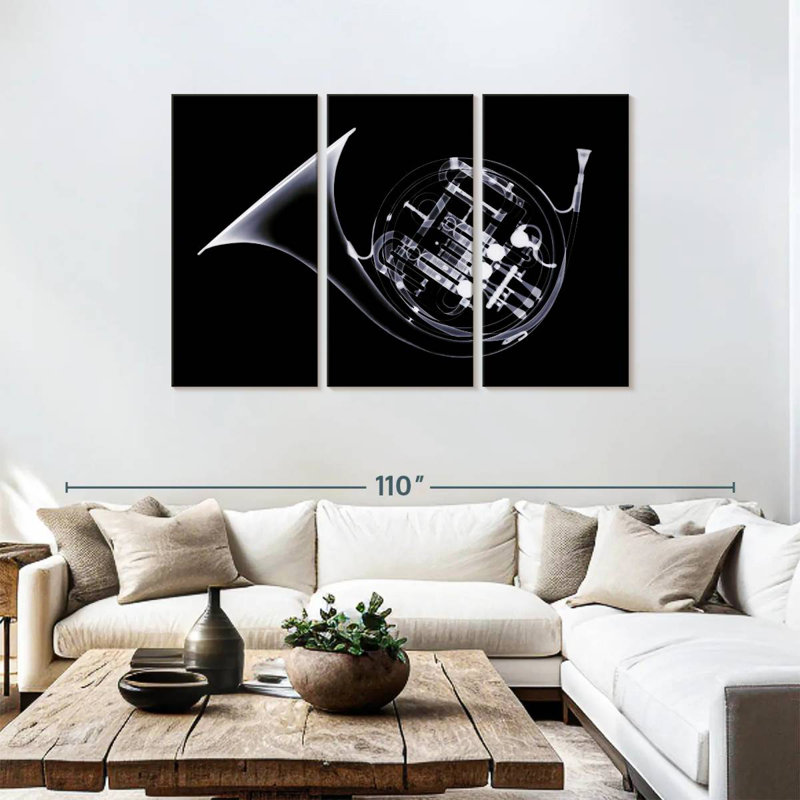 French Horn X-Ray
