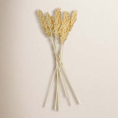 Clerkin Natural Dried Plant Floral And Botanical Artificial Foliage