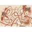 Papier peint abstrait avec lignes topographiques et méandres-42982372-42982369