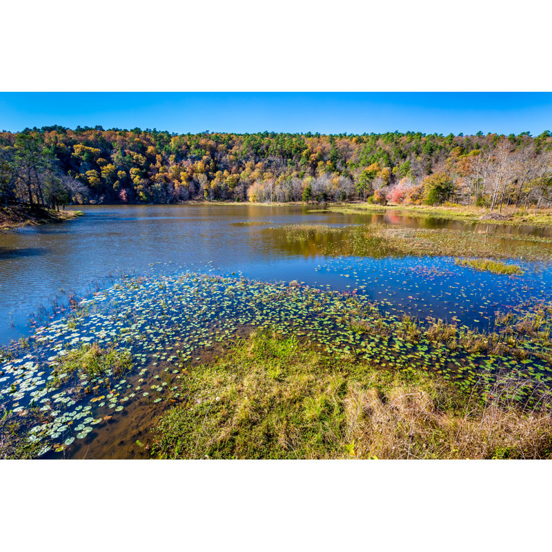 Downes Tranquil Pond With Lilies - Wrapped Canvas Print, 30cm H x 46cm W x 3.8cm D