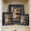 Cadre photo sophistiqué 5 pièces x 7 po 1PC noir pour décoration de chambre à coucher-917258518-917258519-917258521