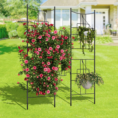 Pare-étincelles de jardin en métal Baroque, treillis arqué en fer noir 51 po x 66 po