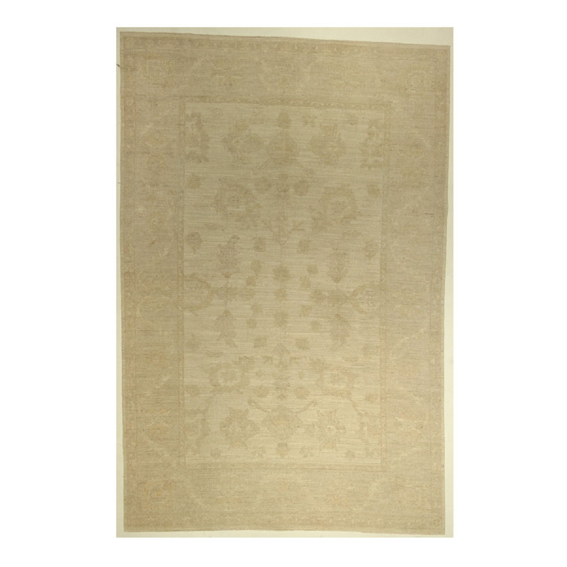 Hand Knotted Oriental Rug