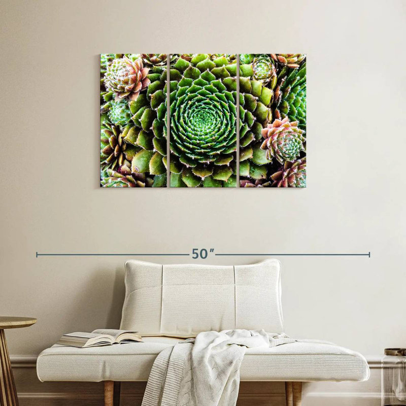 Harnek fleur comme plantes grasses, H 24 po x l 38 po