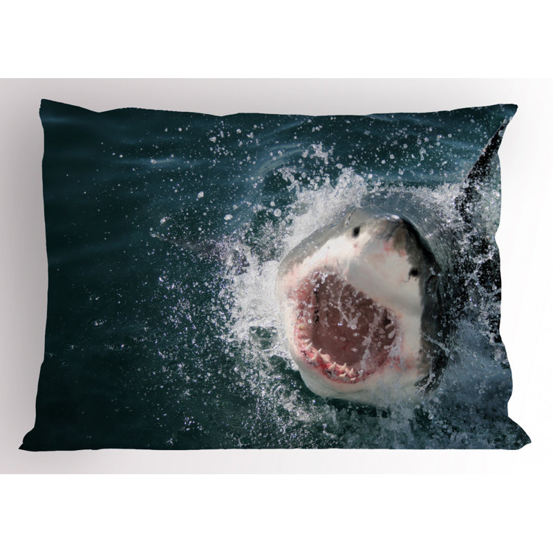 Shark Polyester Sham Set, King