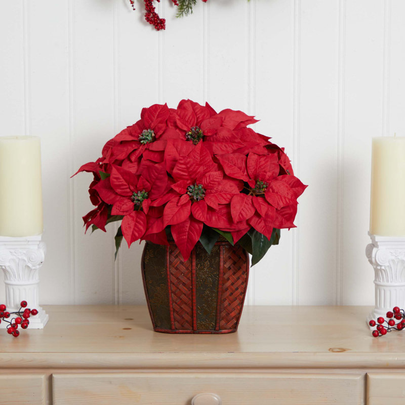 Arrangement floral poinsettia dans un vase