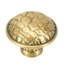 ALLIGATOR KNOB FLORENTINE-149140334