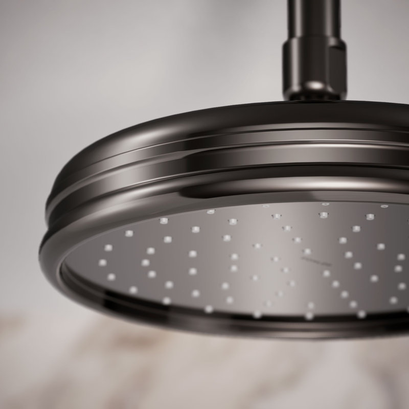 Traditional Rain Shower Head, Vibrant Titanium