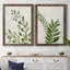 Botanical Wash I - ensemble de 2 reproductions-463140512-463140517-463140523