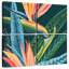 Ripe Air Of Summer-86404373