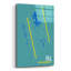 Art mural en verre acrylique, "FLL" par O8, 16 po x 24 po-1523613535