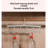 Versatile Plastic Multi-Hook Hanger-906081271