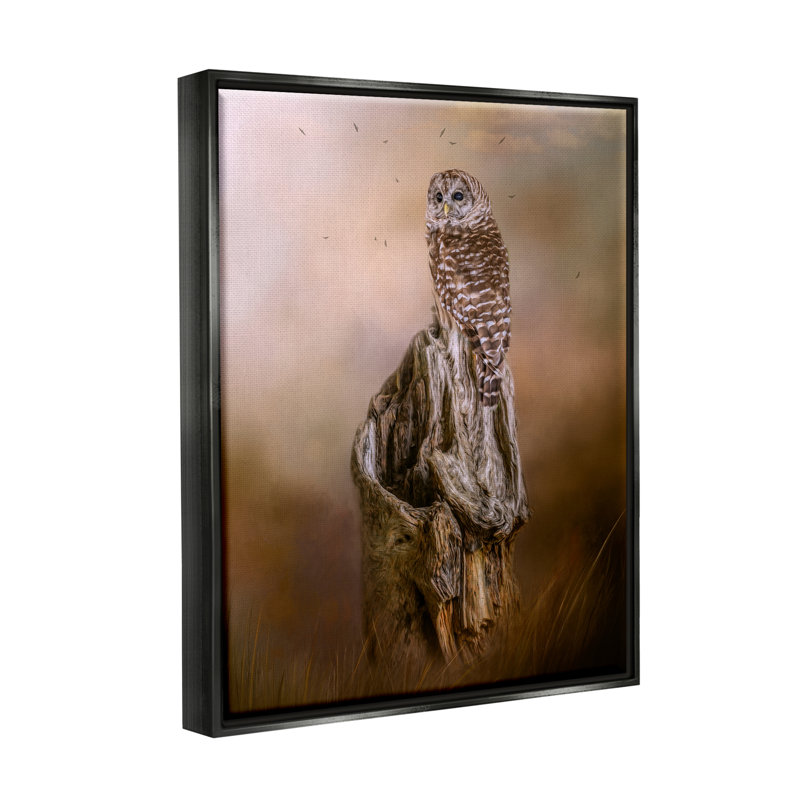 Tronc d'arbre perché barré nature - photographie, H 21 po x l 17 po x P 1,7 po, Giclée encadrée noir minuit